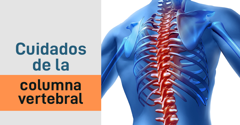 Cuidados de la columna vertebral